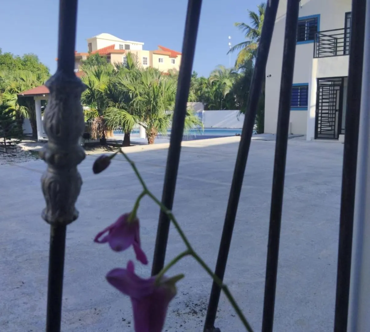 Nely Y Pietro Share Apartment Πούντα Κάνα